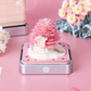 Sakura 2025 Calendar 3D Memo Pad