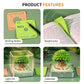 Oak Tree Model Hand Tear off 3D Calendar Memo Pad With Light