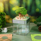 Oak Tree Model Hand Tear off 3D Calendar Memo Pad With Light