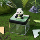 Panoramic Panda Model 3D Memo Pad