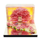 Treehouse 3D Model Hand Torn Memo Pad With Music Speaker