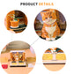 Cute Orange Cat Hand Tear off 3D Calendar Memo Pad With Light
