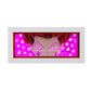 Hisoka Anime Paper Carved Light Box with Led Light