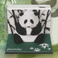 Panda Model